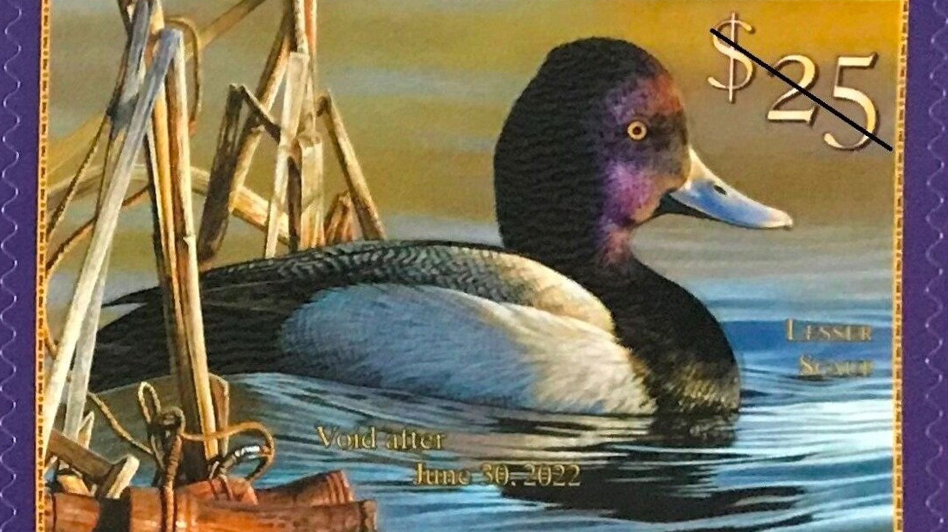 South Carolina Legislature Increases Duck Stamp Fee An Official