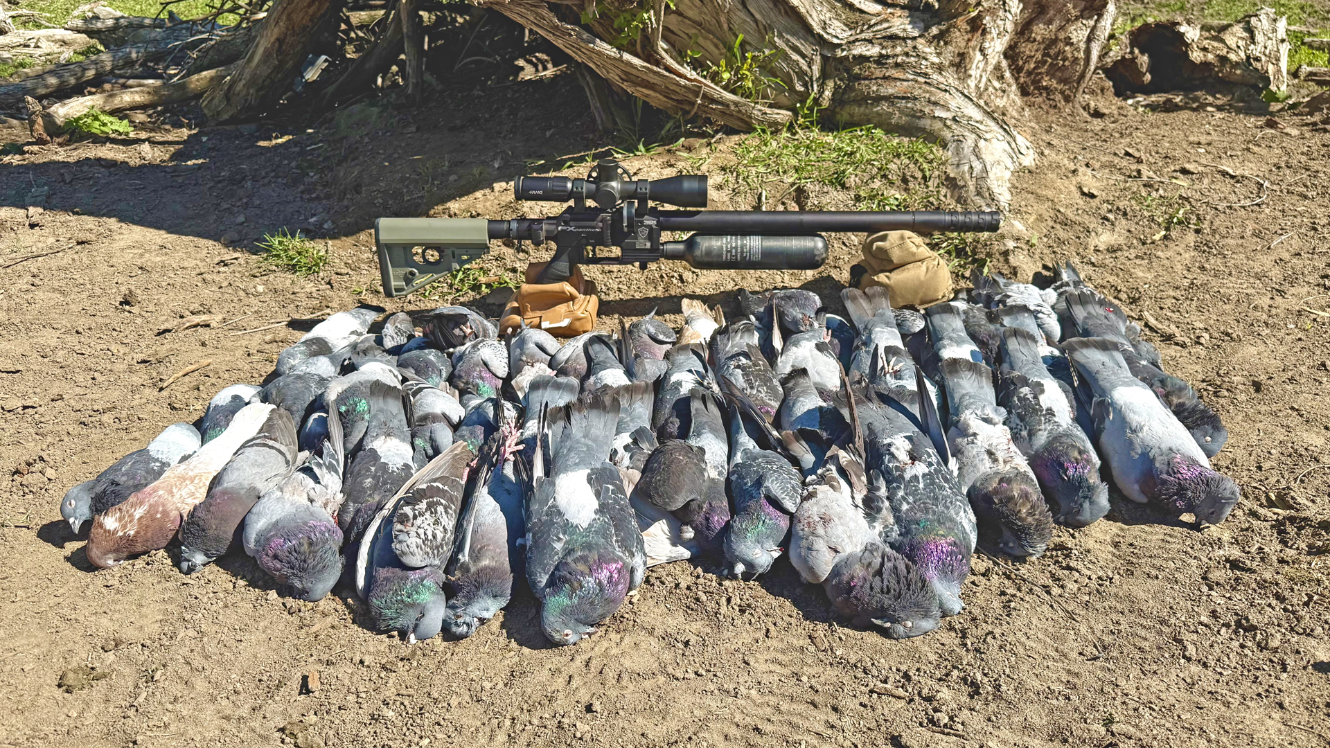 Hunting with Air: Getting Started