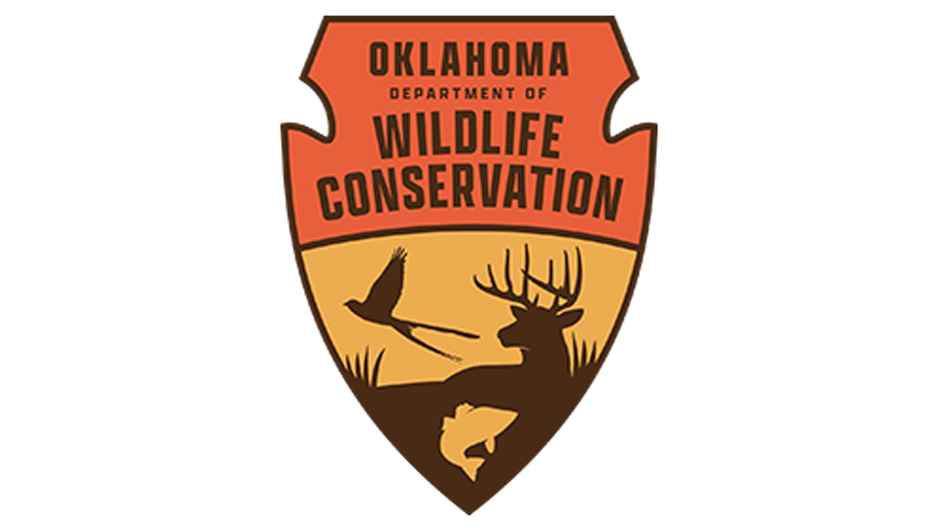 oklahoma-dwc-activates-cwd-plan-after-diseased-deer-discovery-an