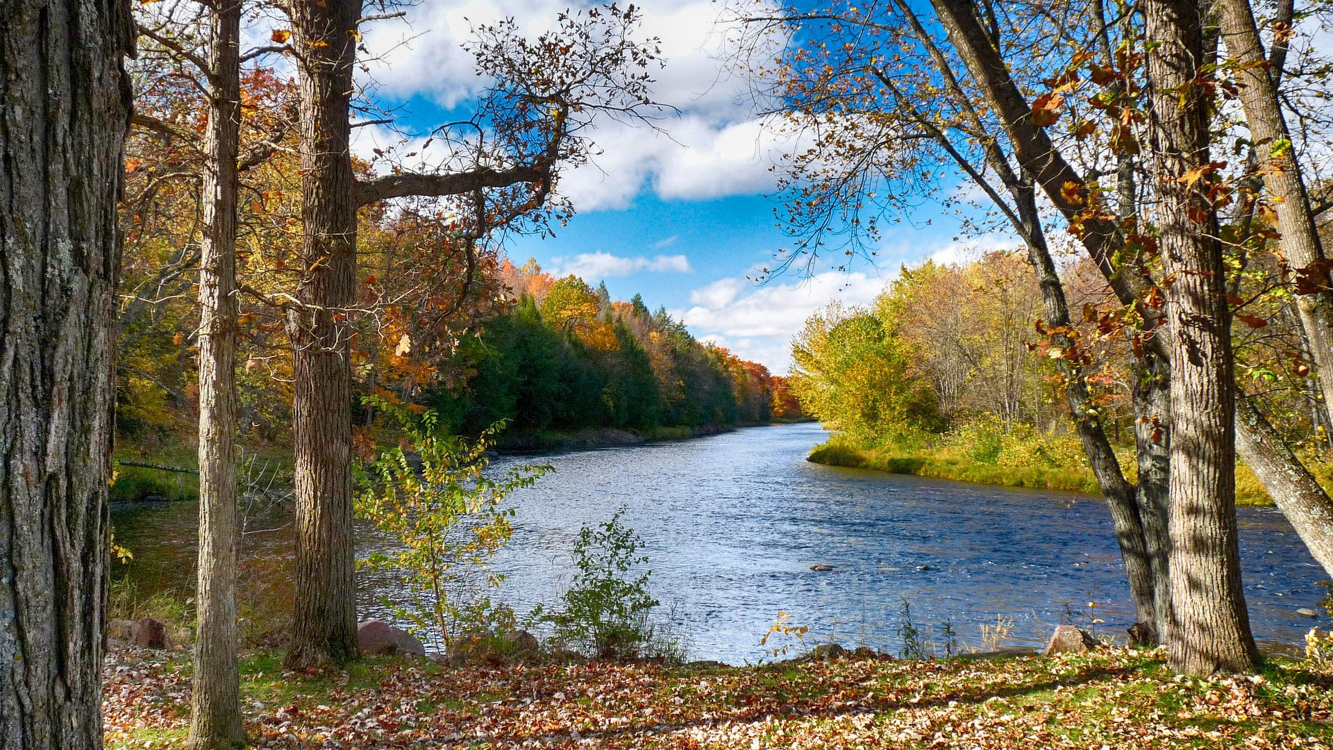 Jump River In Wisconsin (1)