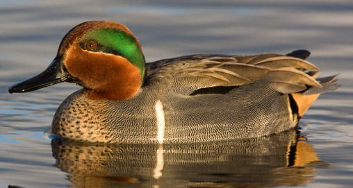 2012815111542-southbound_teal_h.jpg