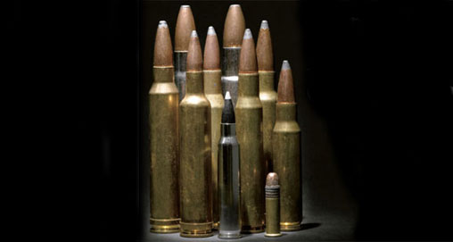 2009529-10cartridges_fs.jpg