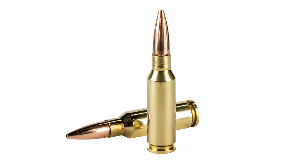 Two 6.5 Grendel rifle cartridges.