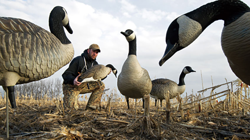 Tips for Late-Season Goose Hunting | An Official Journal Of The NRA