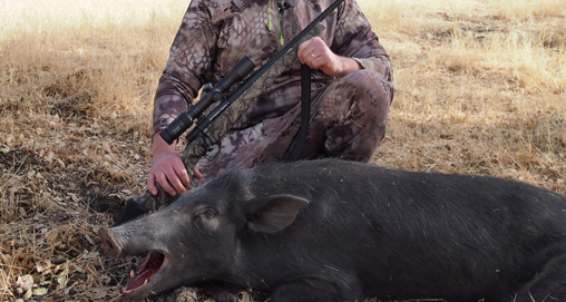 201334112031-hog_reaper_f.jpg