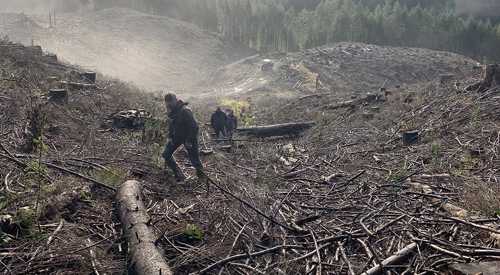 Hunters trekking through Oregon coastal timber with dense fog.