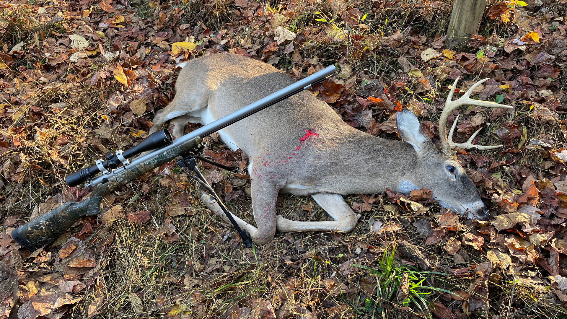 Muzzleloader with deer