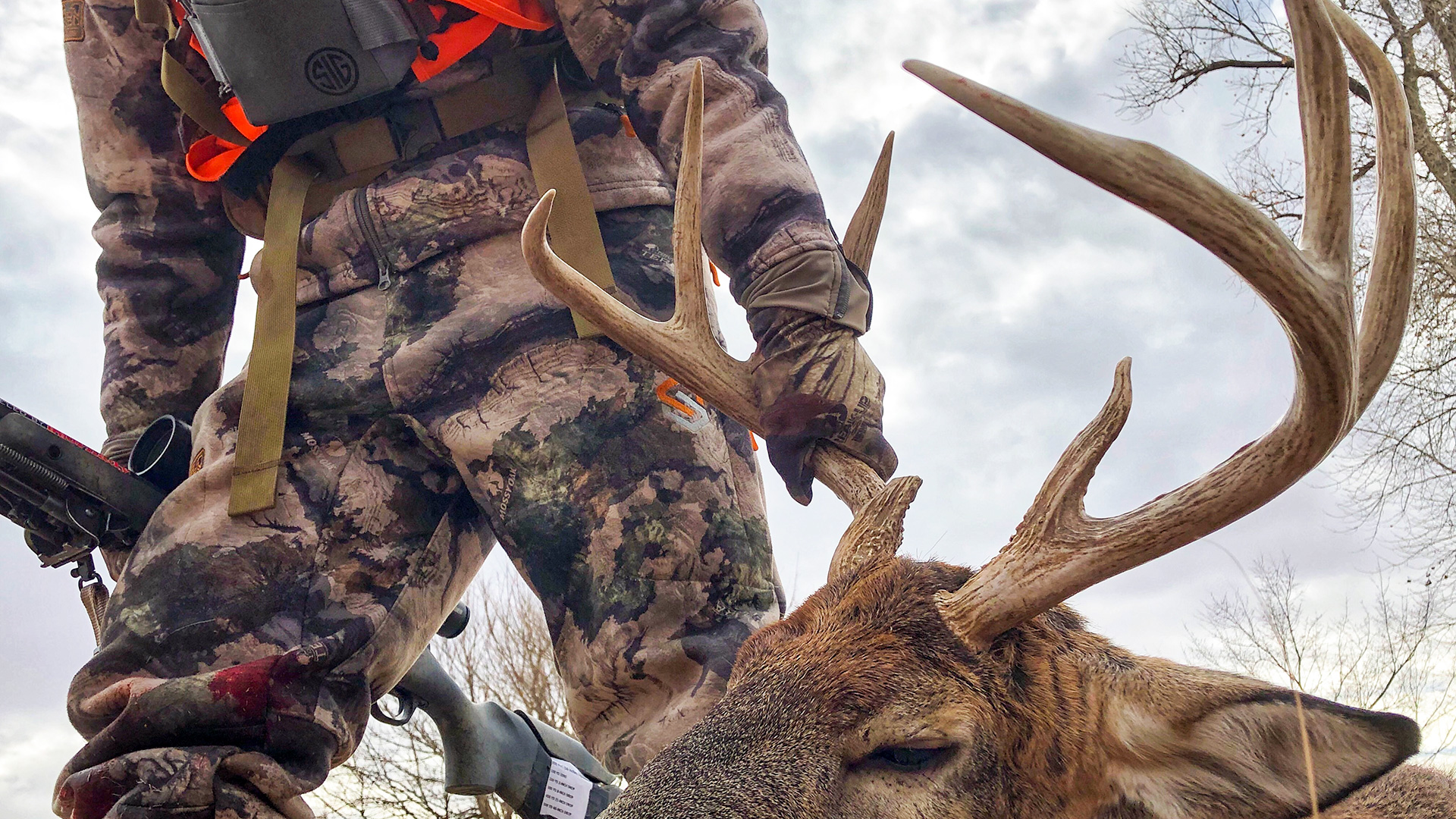 November Bucks Lead