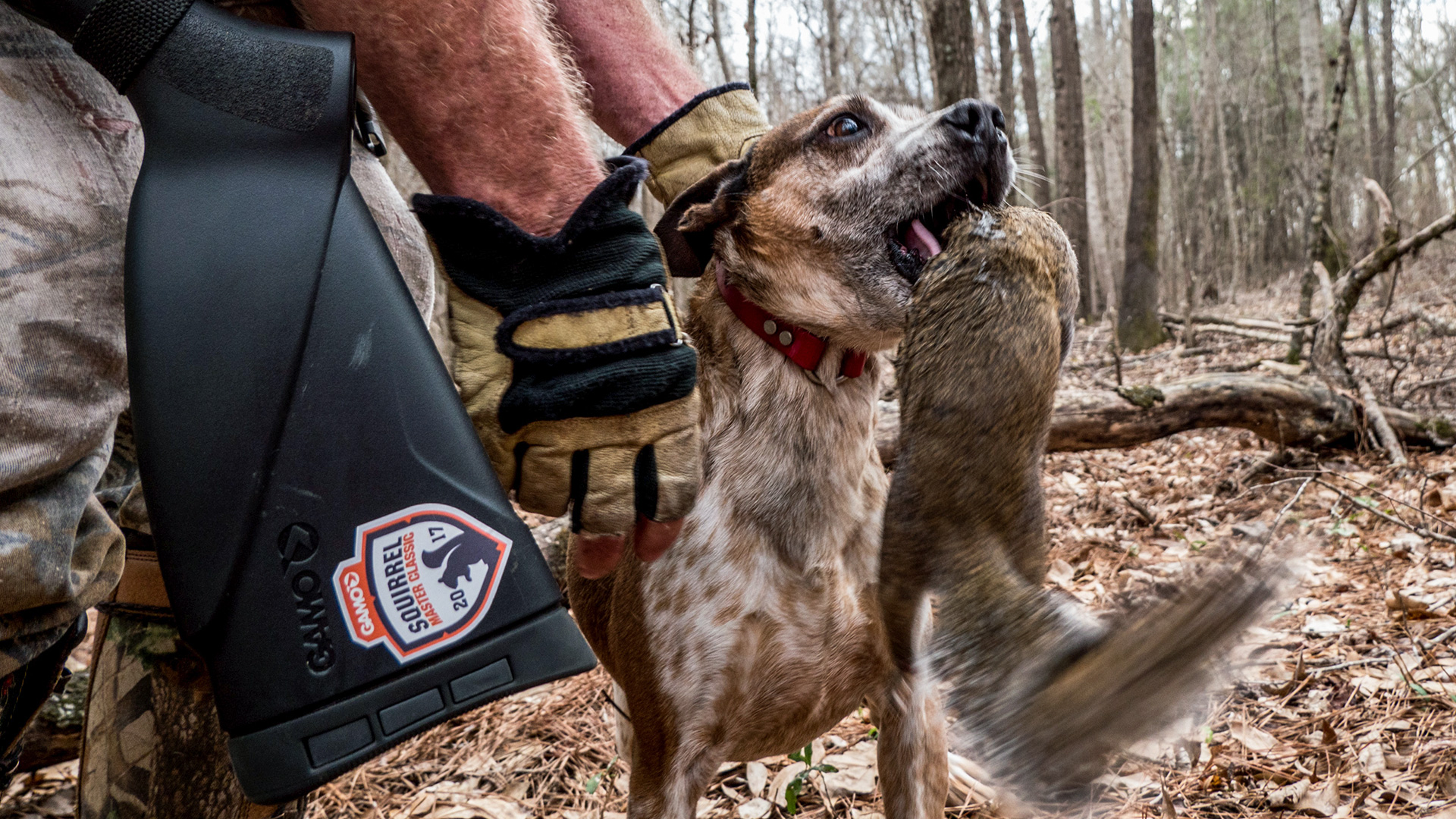 Squirrel Hunting In The Rain Lead