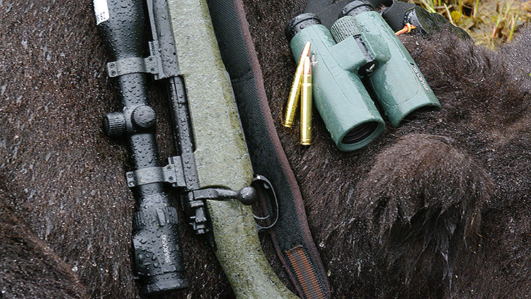towsley_bear_gear_f.jpg