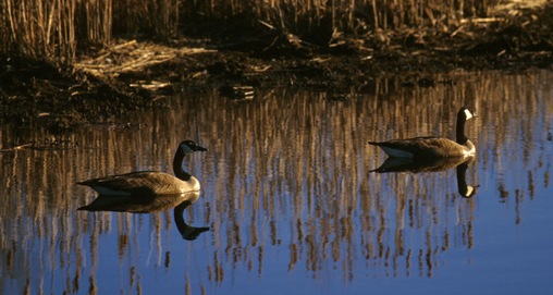201191910436-earlywater_f.jpg