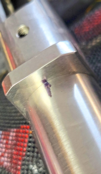 Barrel and action mark