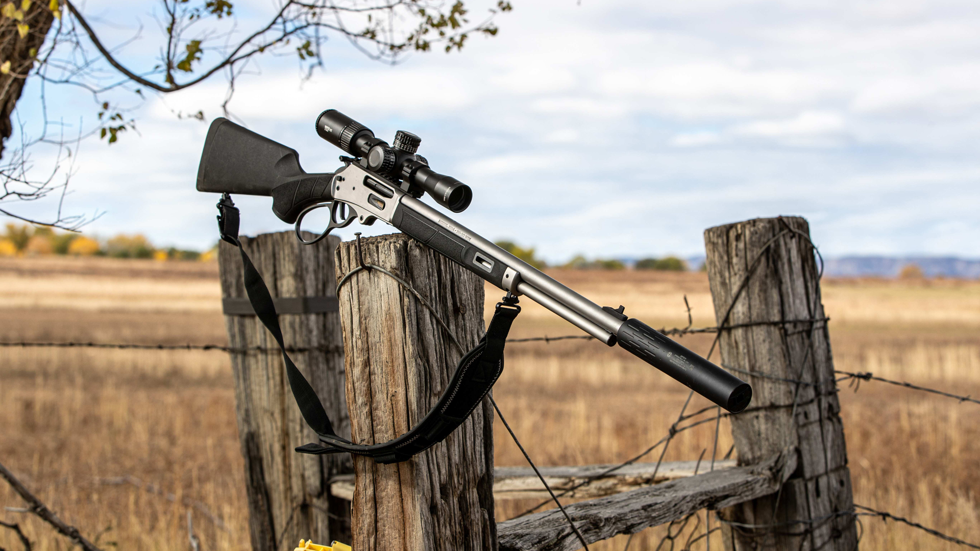 S&W Photo Model 1854 On Gate
