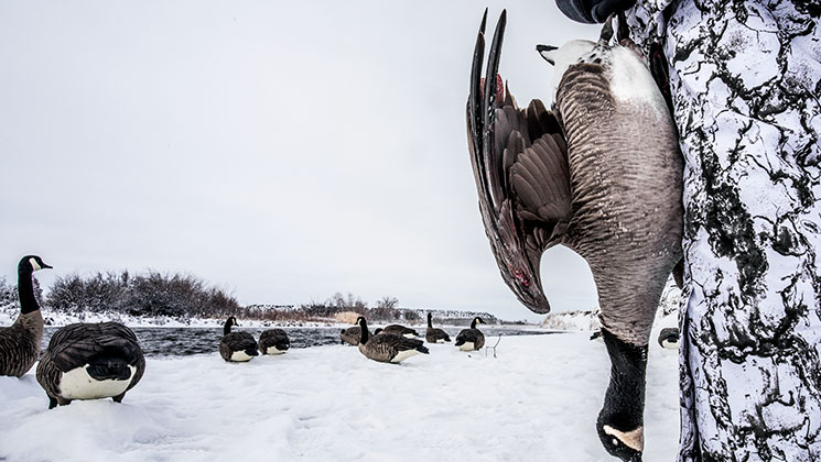 Canada goose 80 outlet percent off 400