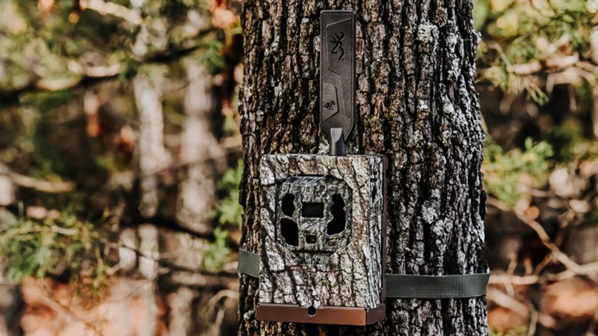 Ledecell Cam Security Box