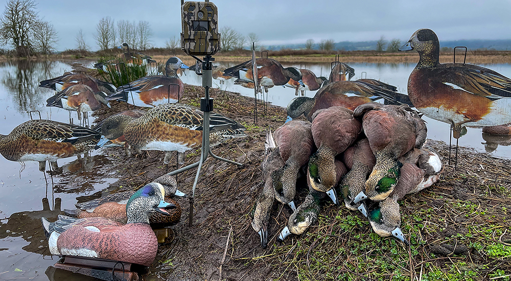 Moultree Mobile trail camera used for scouting ducks.