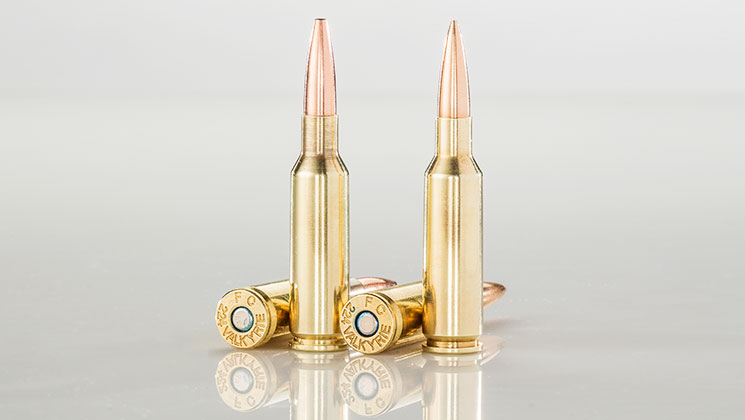 Hardware: .224 Valkyrie | An Official Journal Of The NRA