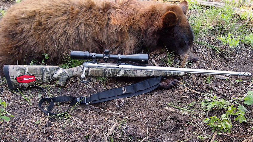 gg-idahobearhunt_lead.jpg