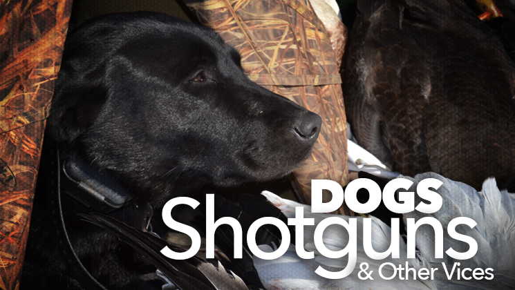 dogs_ah2015_fs.jpg (77)