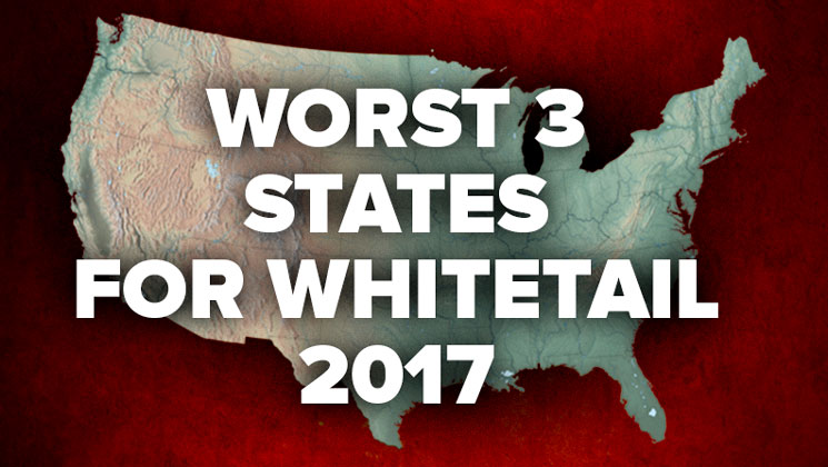 worst3stateswhitetail.jpg