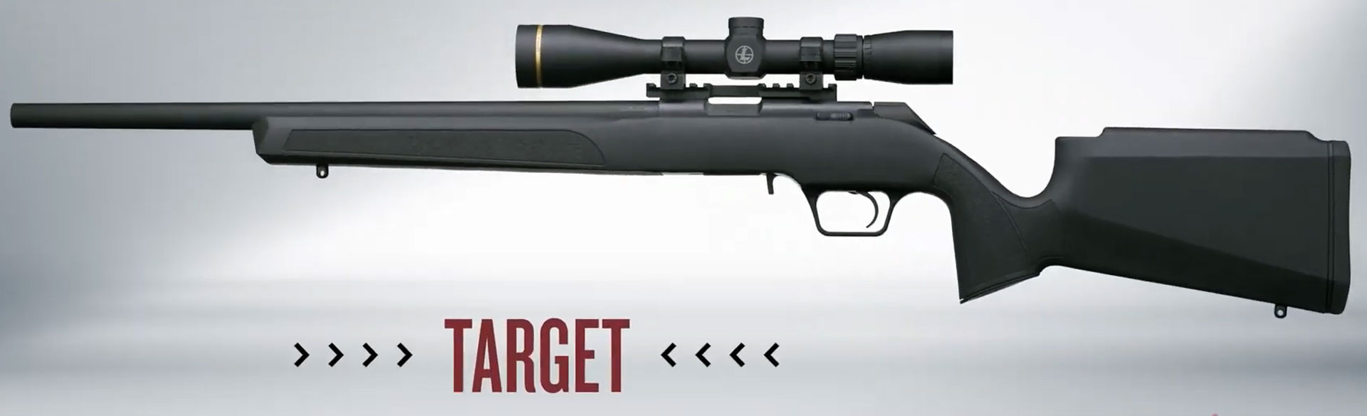 Springfield Model 2020 Rimfire Target