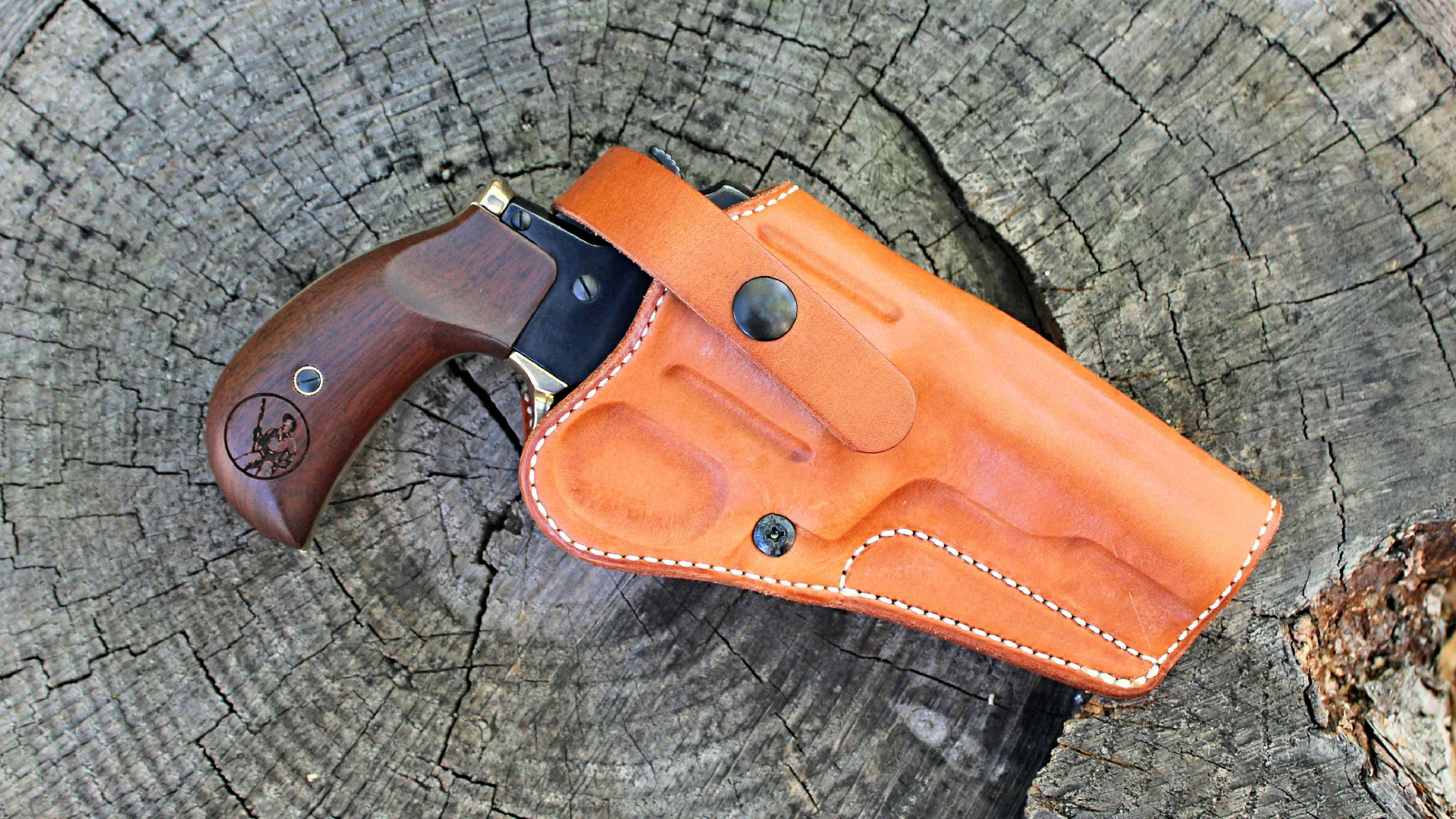 Henry Revolver in holster