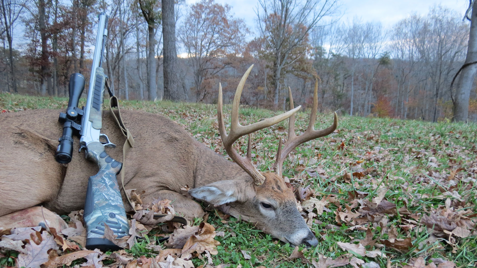 Muzzleloader and buck