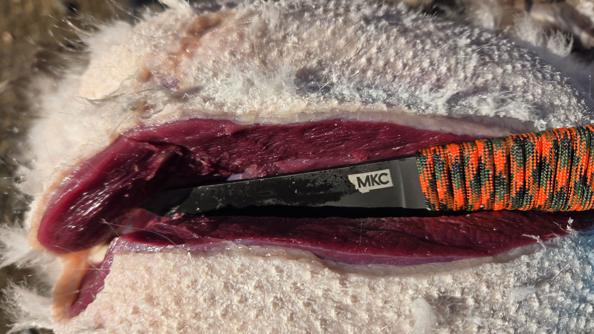 Breasting out a goose