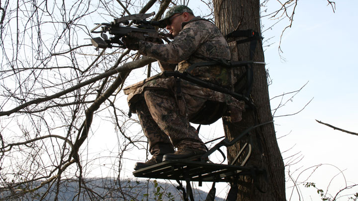 Best climbing deals tree stand