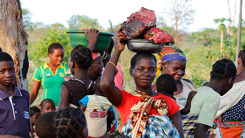 africangamemeat_lead.jpg