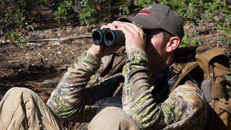 summer_deer_scouting.jpg