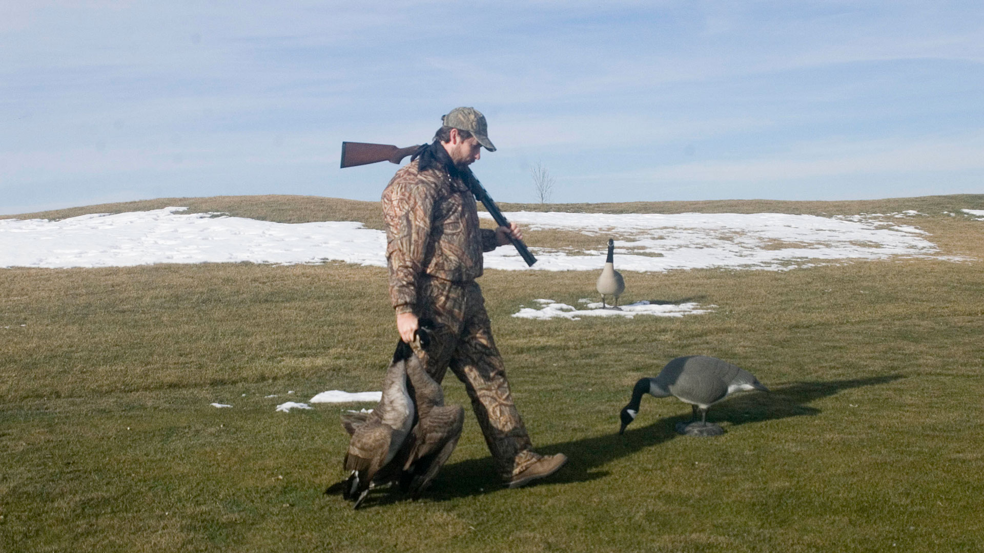 Hunter walking with geese