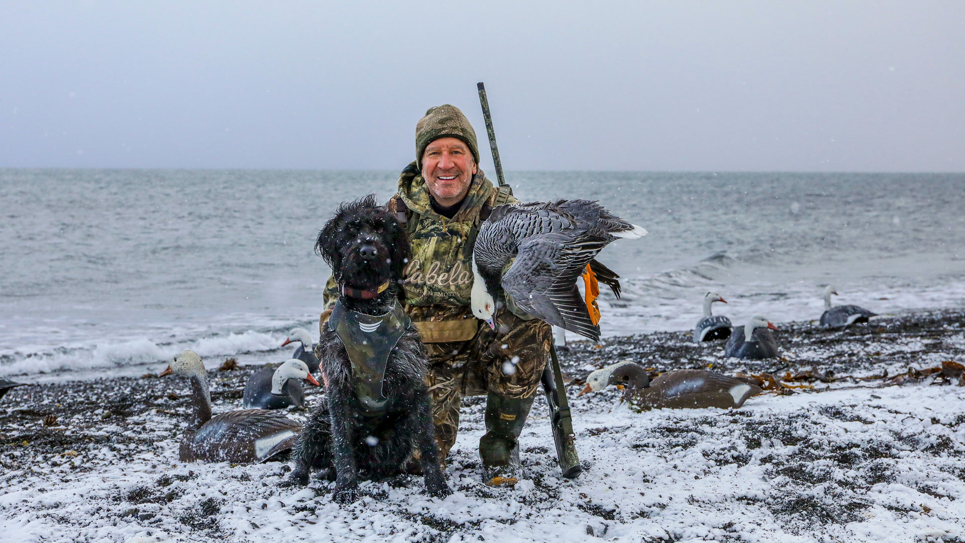 Alaska residency meant the author qualified for an OTC emperor goose tag.