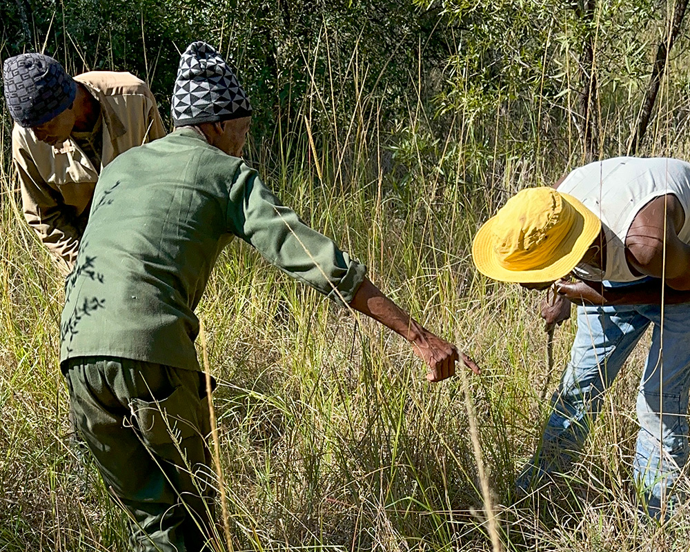 South African animal trackers on blood trail.