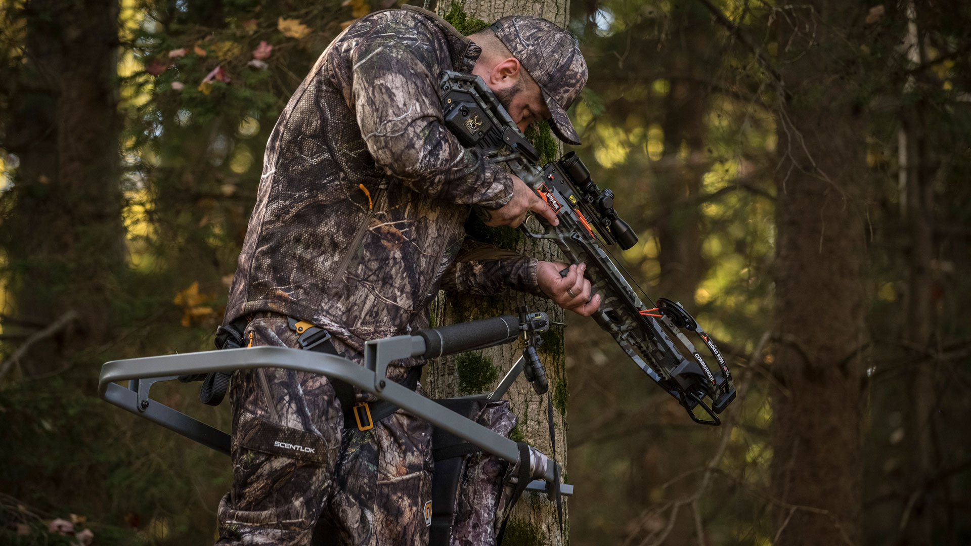 Wicked Ridge from treestand