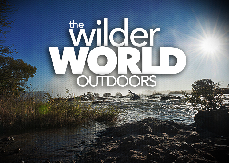 wilder_ah2015_fs.jpg (19)