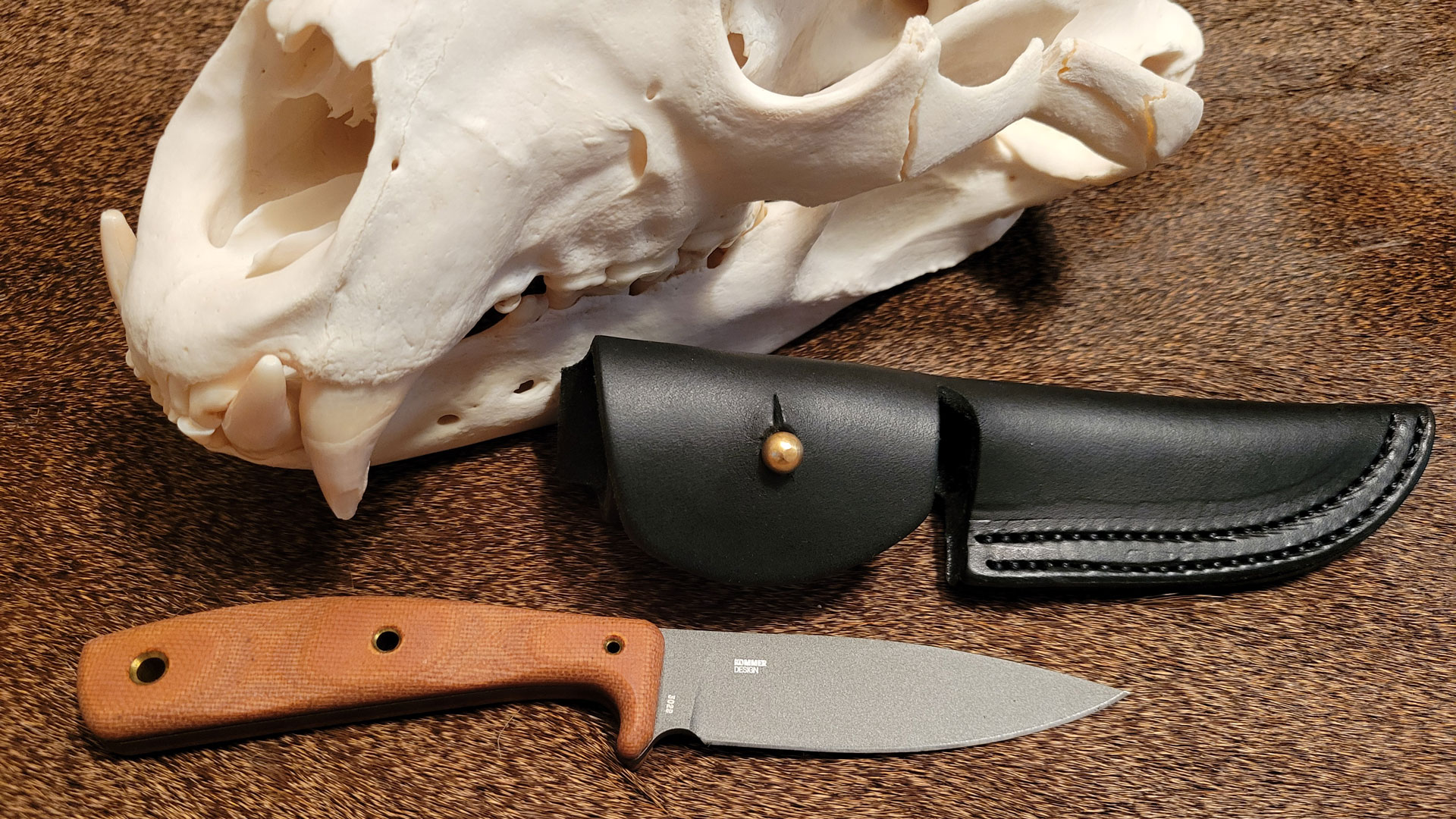 CRKT Soldotna with bear skull