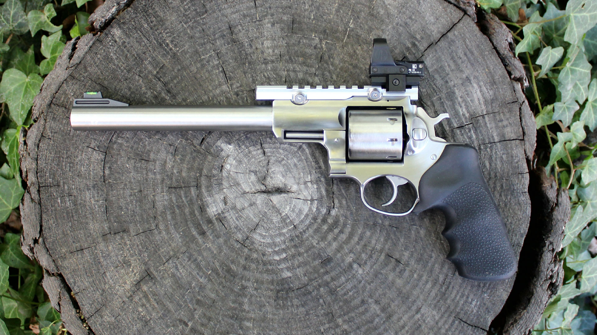 Ruger Super Redhawk on stump