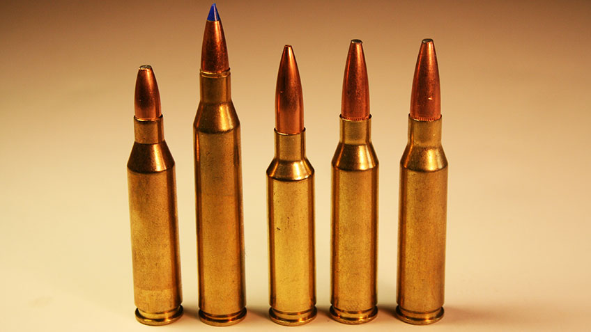 Top 5 Calibers for a Youth Deer Rifle • Air Gun Maniac