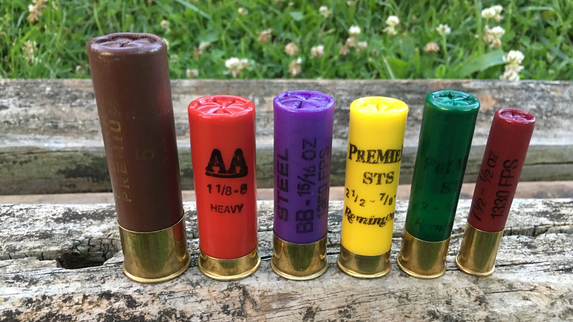 Shotshells on wood