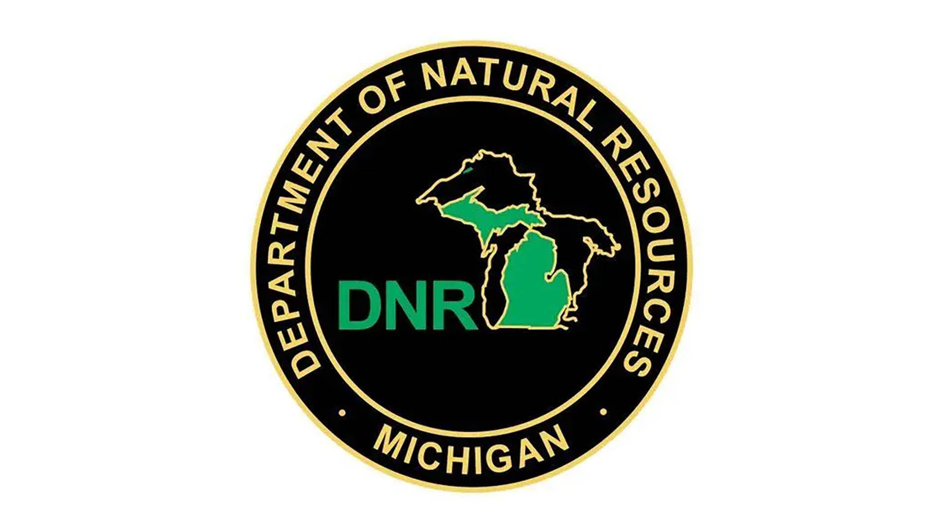 LEDE Michigan