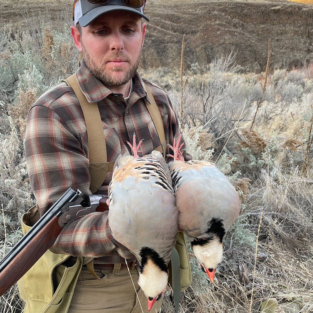 Chukar hotsell hunting boots