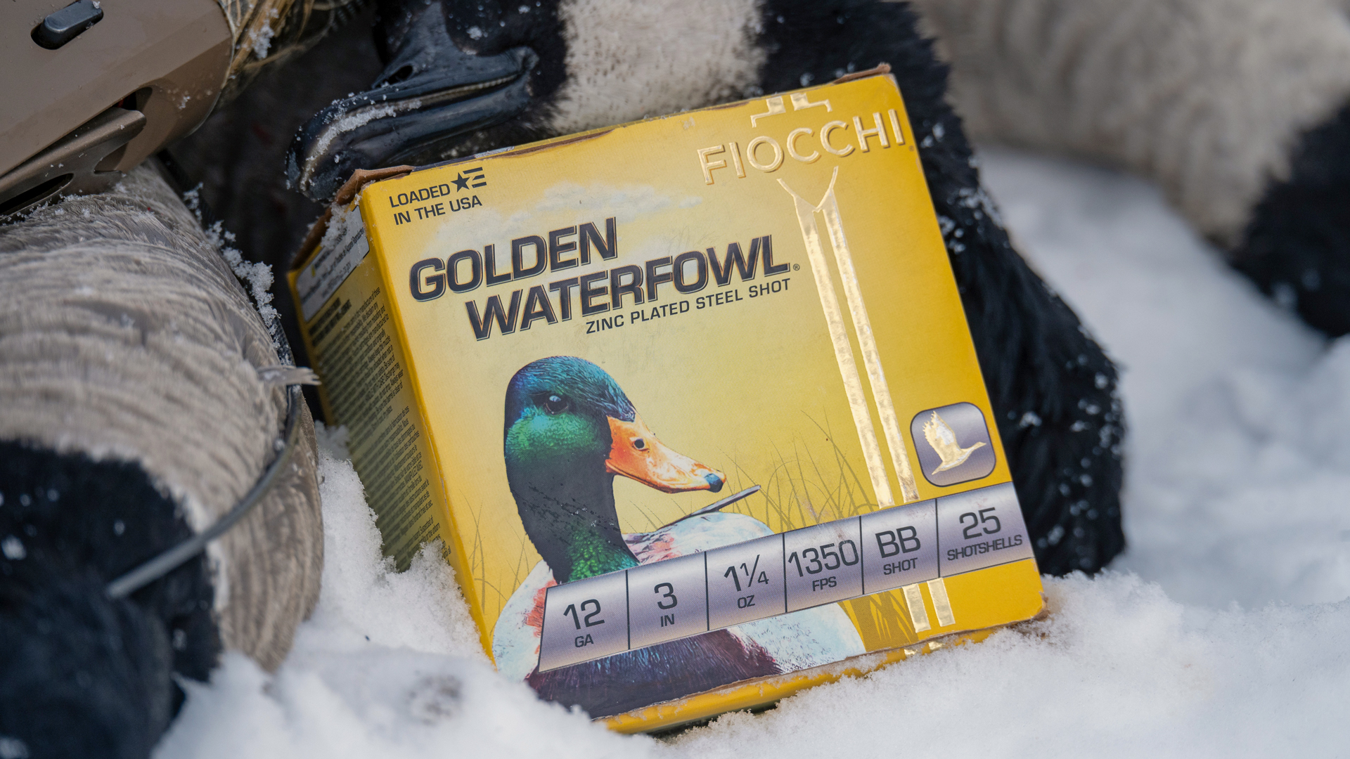 Fiocchi Golden Waterfowl ammunition shotshell box with mallard duck on cover shown in snow near benelli sbe 3 shotgun and three canada goose