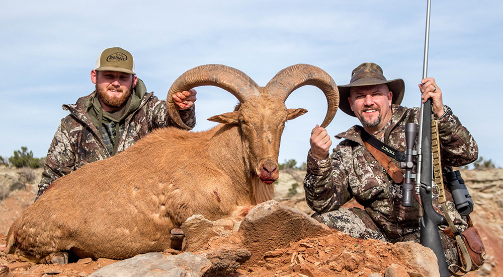 Male hunters with aoudad.