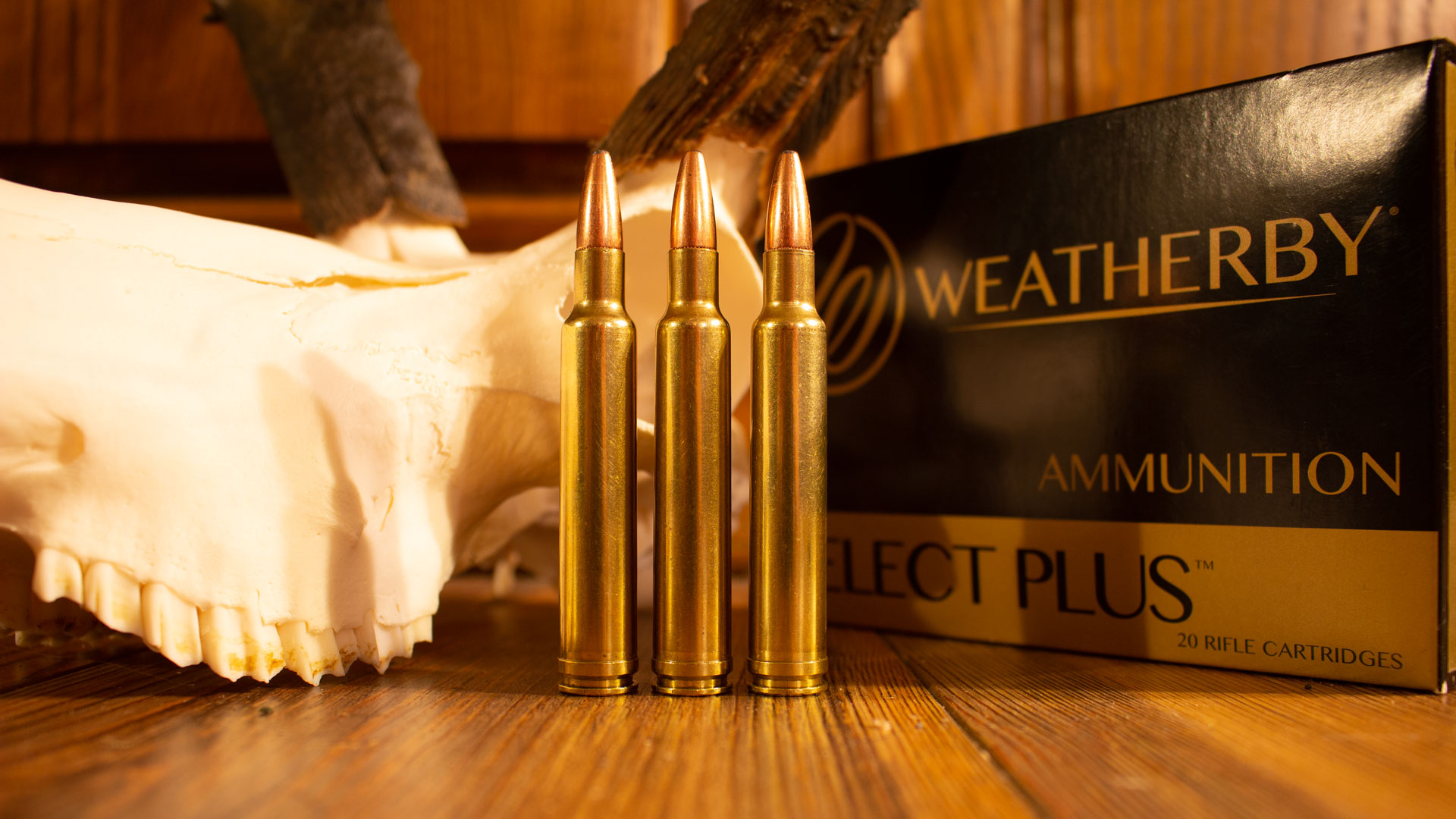 300 Wby Mag