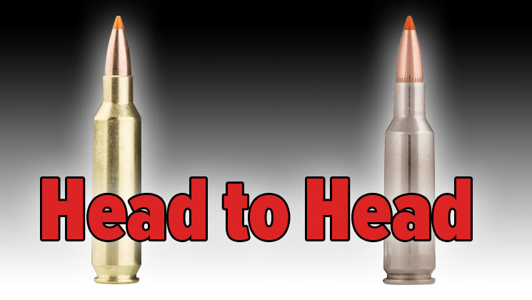 Head to Head: 22 Nosler vs. .224 Valkyrie | An Official Journal Of