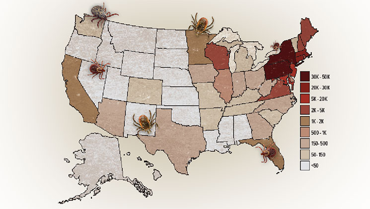 lymedisease_lead.jpg