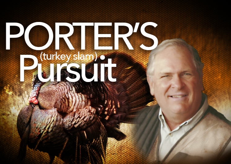 porter2015_fs.jpg (6)