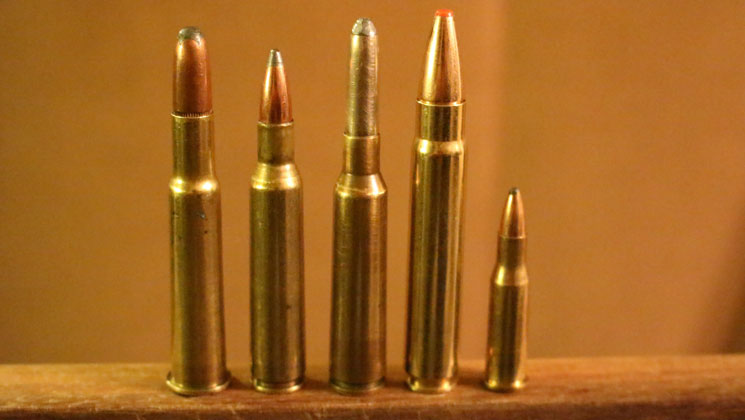 Top 5 Underrated Rifle Cartridges | An Official Journal Of The NRA