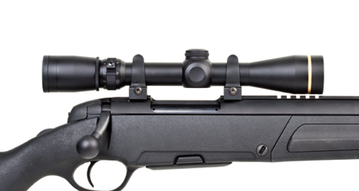 2010114111710-leupold_f.jpg